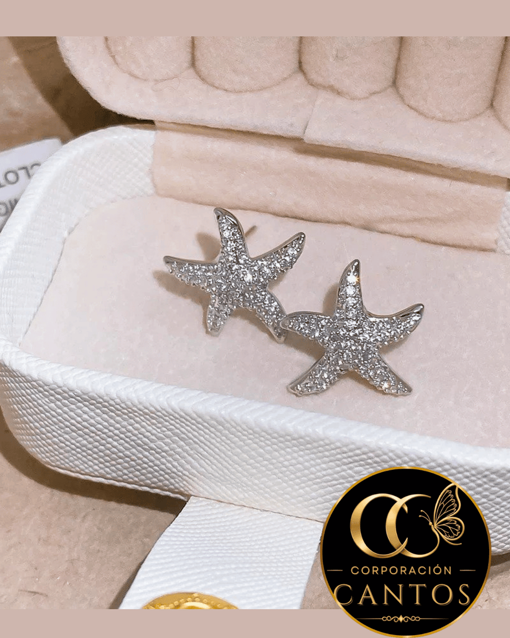 Aretes Estrella Marina Brillante (Acero 316L)